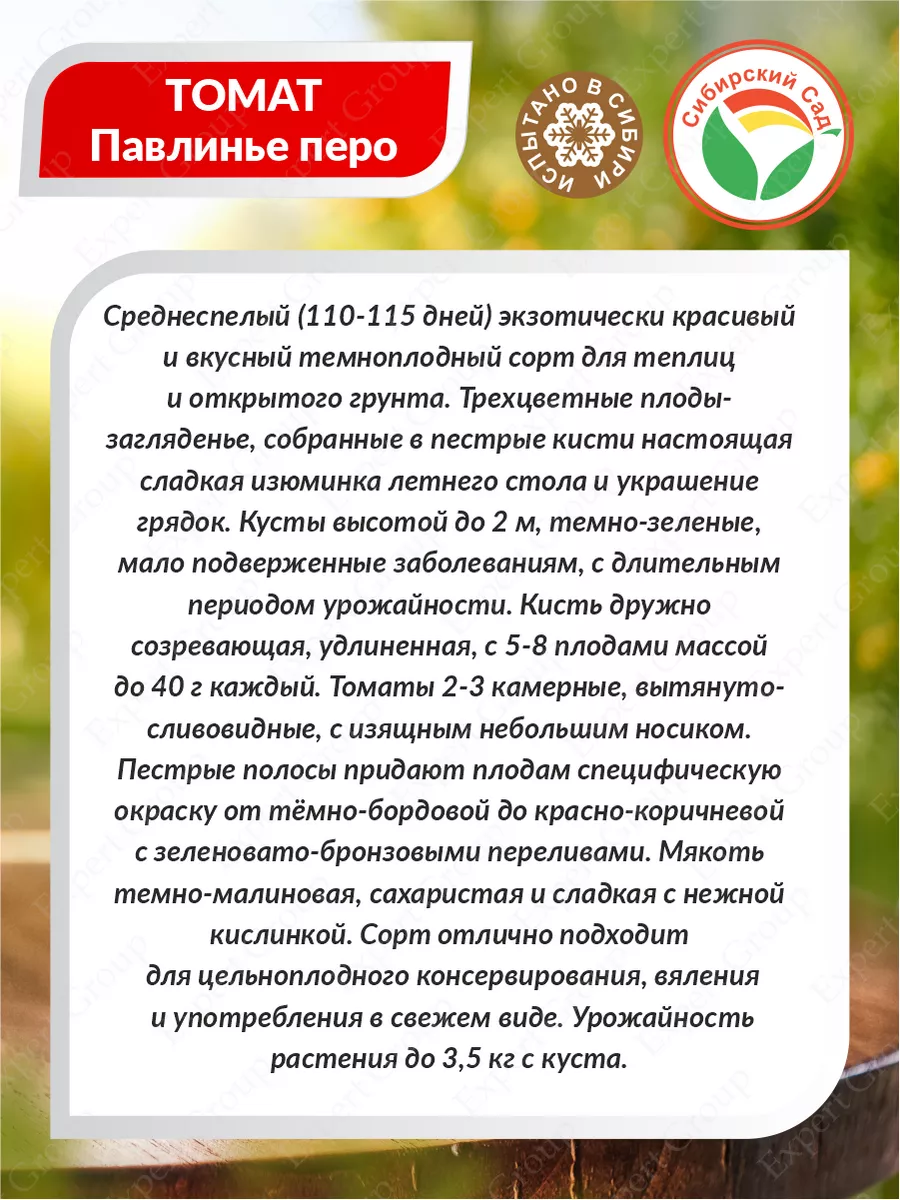 Семена Томат Нижегородский кудяблик 20 шт./уп. х 3 уп. Сибирский сад148469676 купить за 161 ₽ в интернет-магазине Wildberries