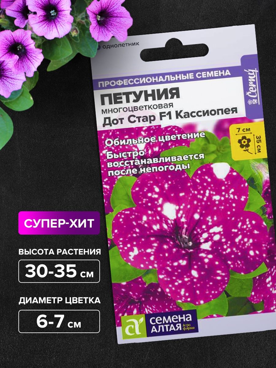 петуния дот стар фото 103