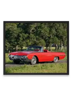 Плакат, постер Ford Thunderbird Sports