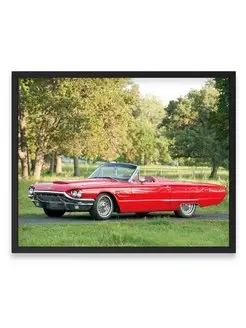 Плакат, постер Ford Thunderbird Convertible