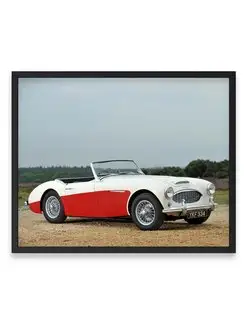 Плакат, постер Austin Healey 100