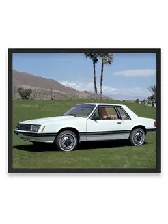 Плакат, постер Mustang Coupe 1979-82