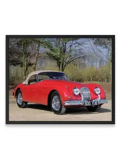 Плакат, постер Jaguar XK150S Roadster