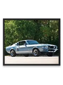 Плакат, постер Shelby GT350 1967