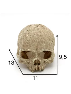 Декорация для аквариума - террариума Череп