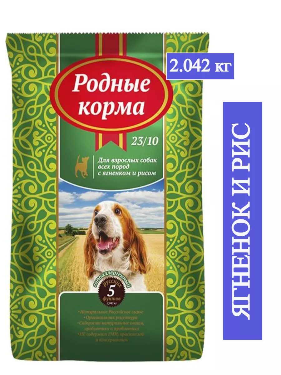 Характеристика сорта яблок Антоновка: особенности посадки, уход, разновидности