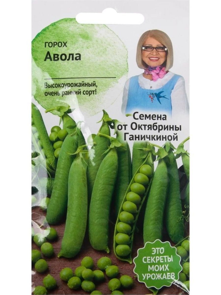 Горох авола описание сорта фото