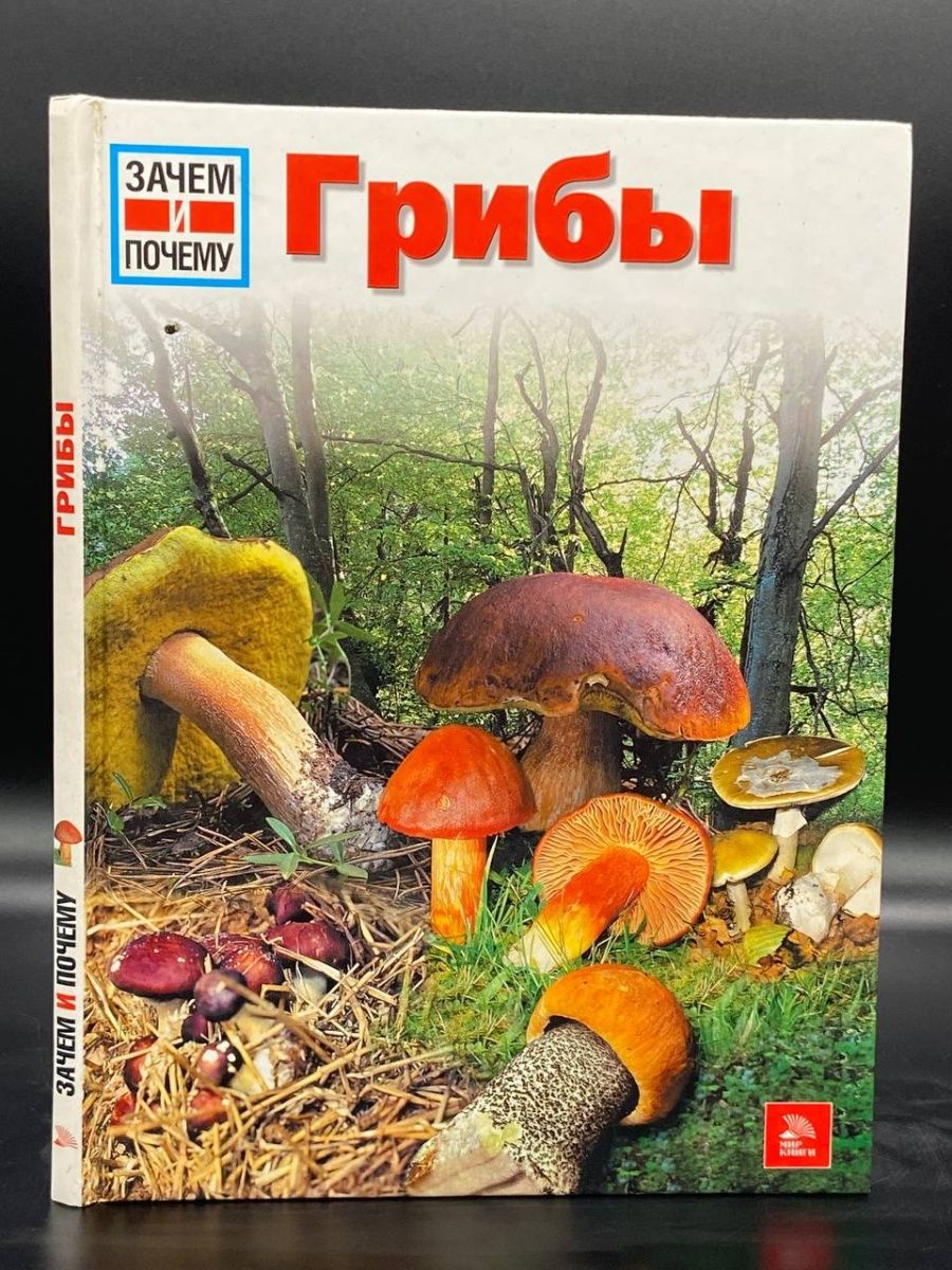 Детская книга про грибы с картинками