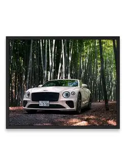 Плакат 40x50, Бэнтли bentley continental gt v8