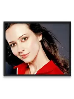 Постер интерьерный, Эми Акер, Amy Acker 40х50