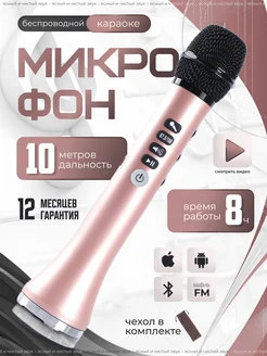 Микрофон караоке