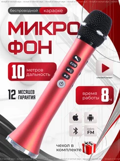 Микрофон караоке