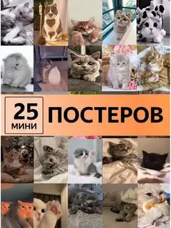 постеры с котятами кошки детям Карточки