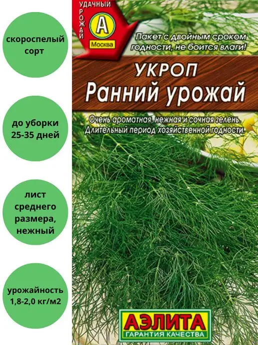 Укроп ранний урожай. Ранний укроп. Укроп дальний. Укроп раннее чудо сиб сад. Сорта раннего сорта укропа.