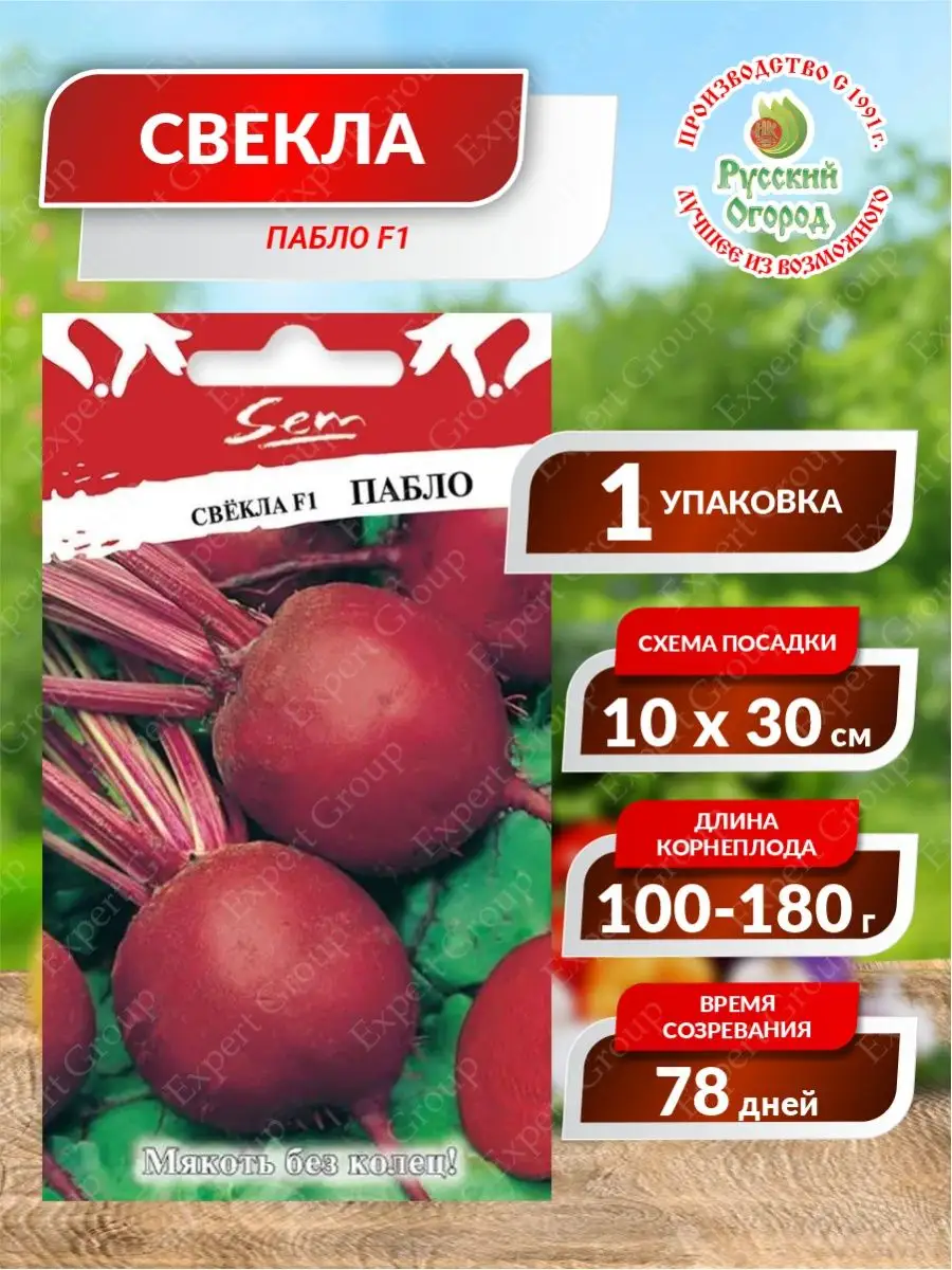Свекла пабло описание сорта. Семена Пабло f1. Свекла Пабло f1. Семена Пабло f1 50000. Свекла Пабло f1 10гр.
