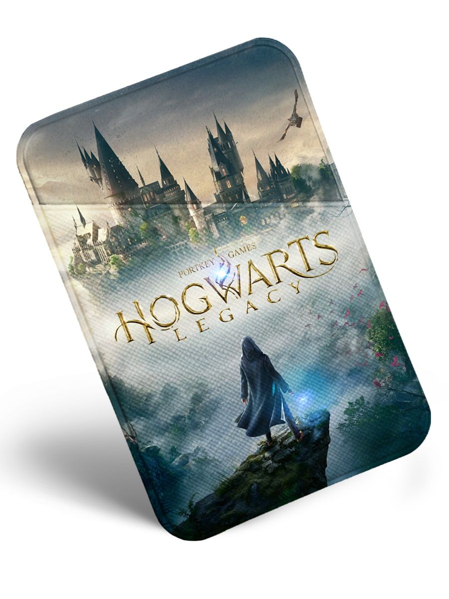 Hogwarts legacy зеркало с бабочками фото 25