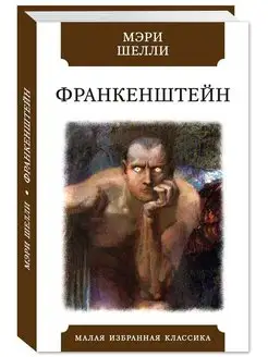 Шелли. Франкенштейн (тв.пер,офсет,комп.форм.)