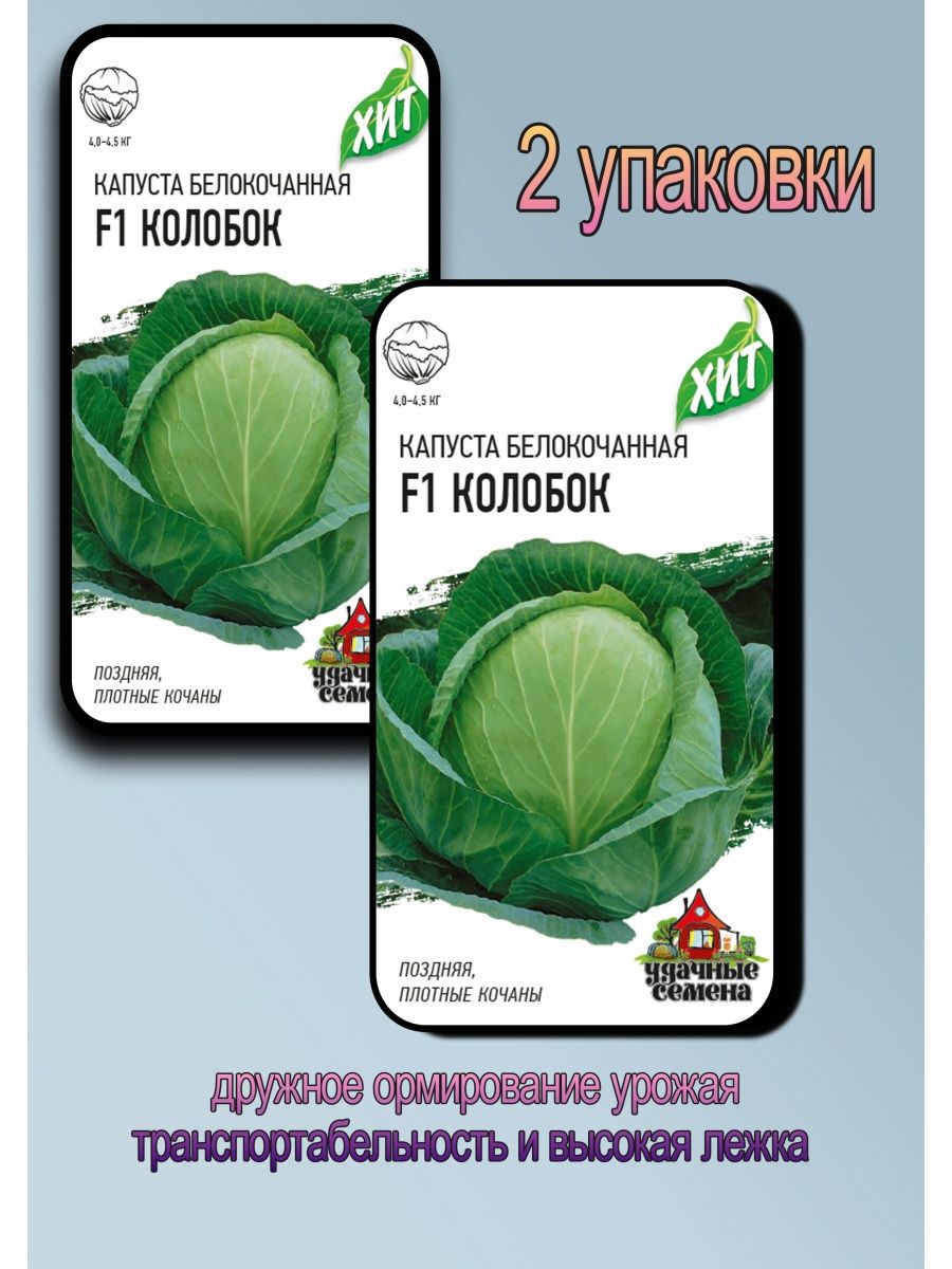 Капуста Колобок. Капуста Колобок описание. Капуста Колобок фото. Капуста Колобок рубиновый.