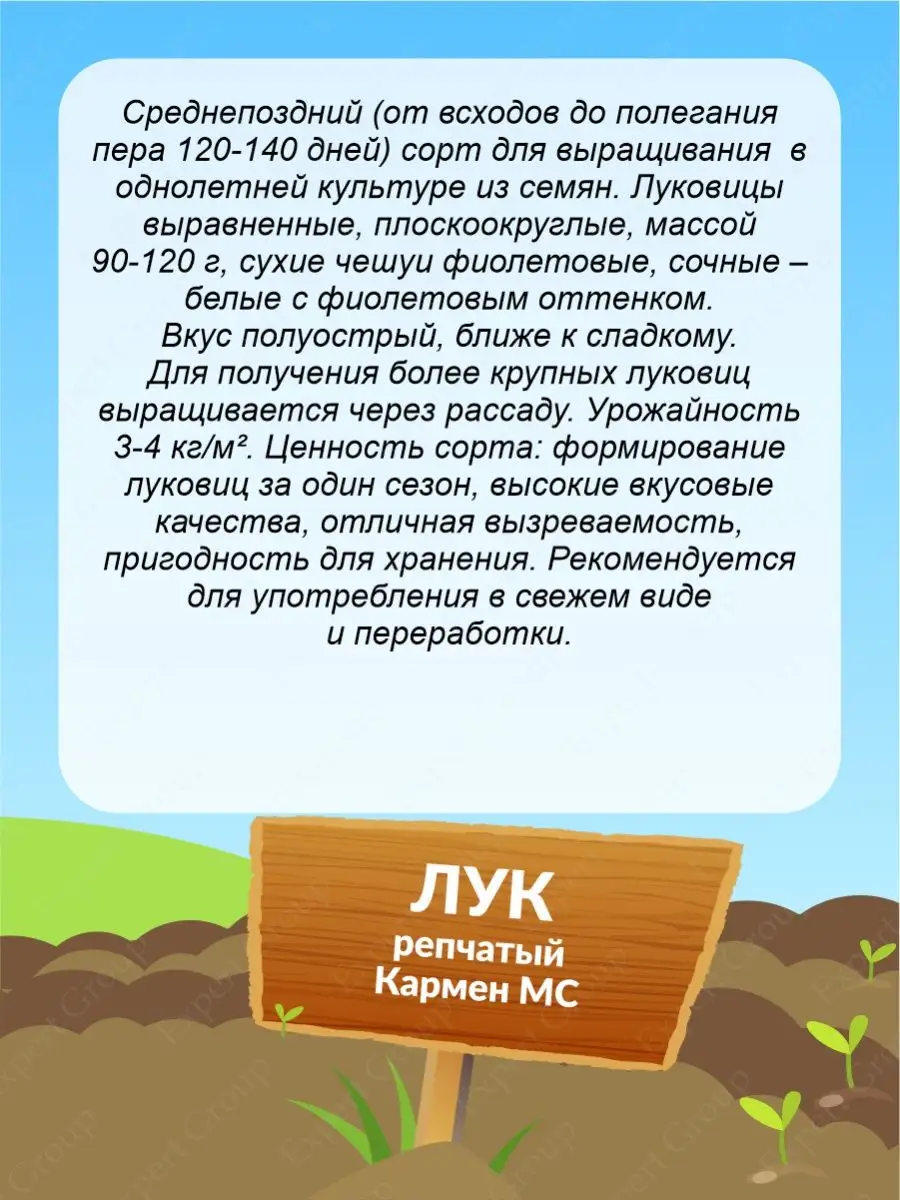 Семена Лук репчатый Кармен МС Среднепоздние 0,5 гр. СеДек 150245010 купитьза 110 ₽ в интернет-магазине Wildberries