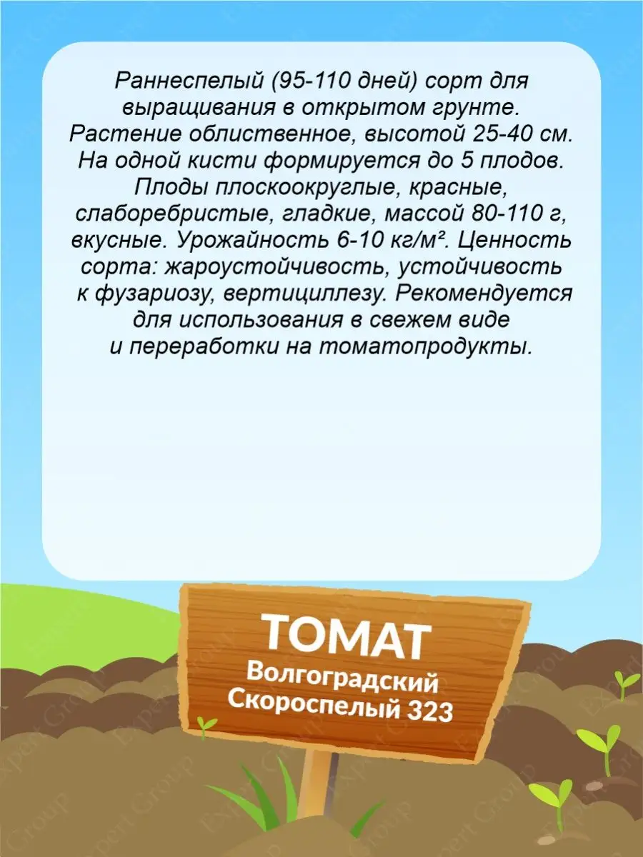 Волгоградский скороспелый томат 323 характеристика и описание. Семена редис принц датский.