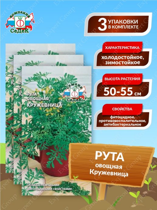 Рута овощная кружевница семена