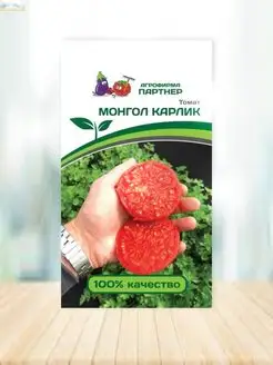 Монгол Карлик