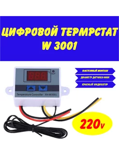 Термостат электронный W3002 220В