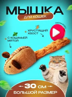 Мышка с кошачьей мятой