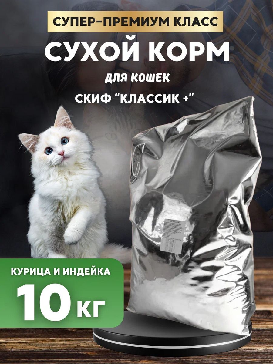 Кошка 10 кг