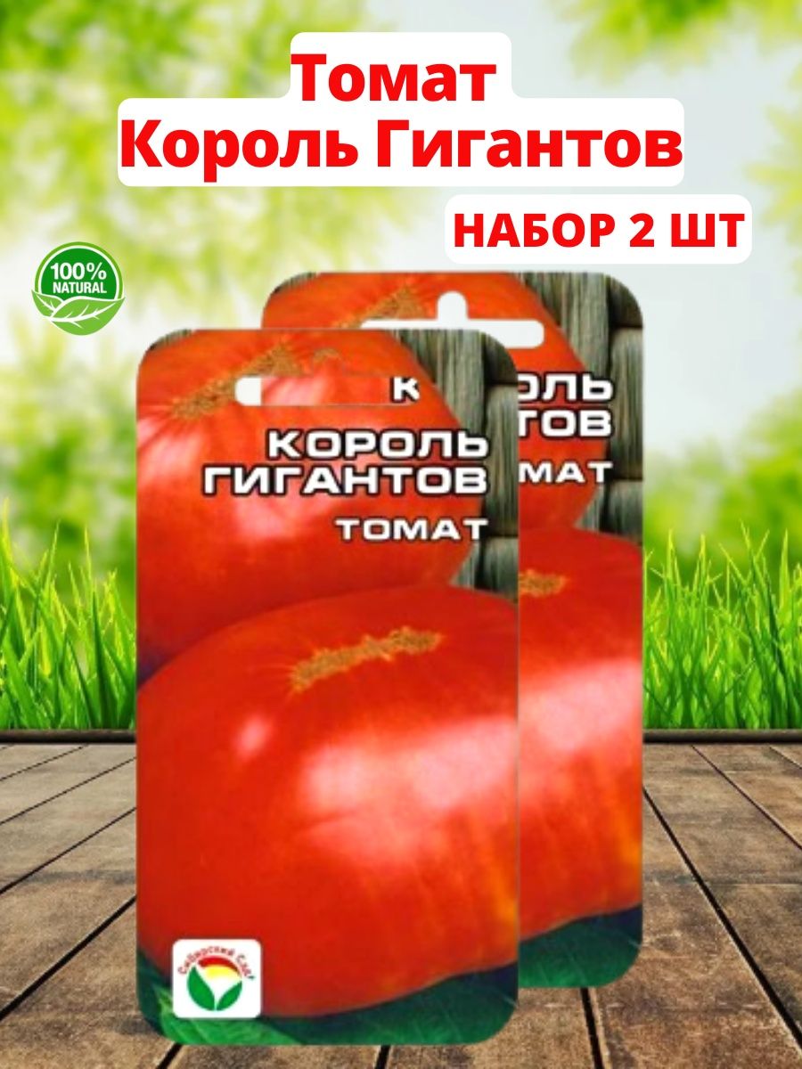 томат king tie rust red фото 41