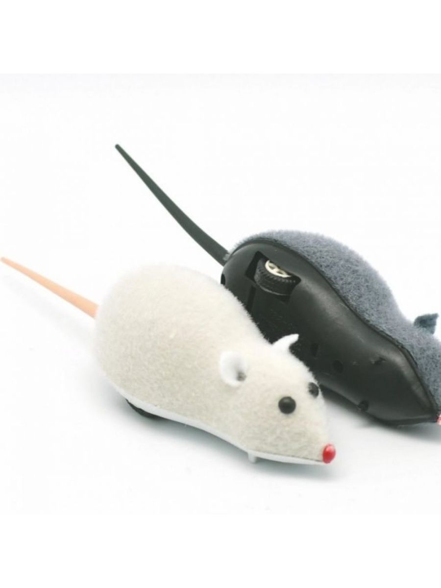 Мыши д. Мышка на колесиках игрушка. Заводная мышка для кошки. Мышка с колесиком. Игрушка для кошек мышь заводная.