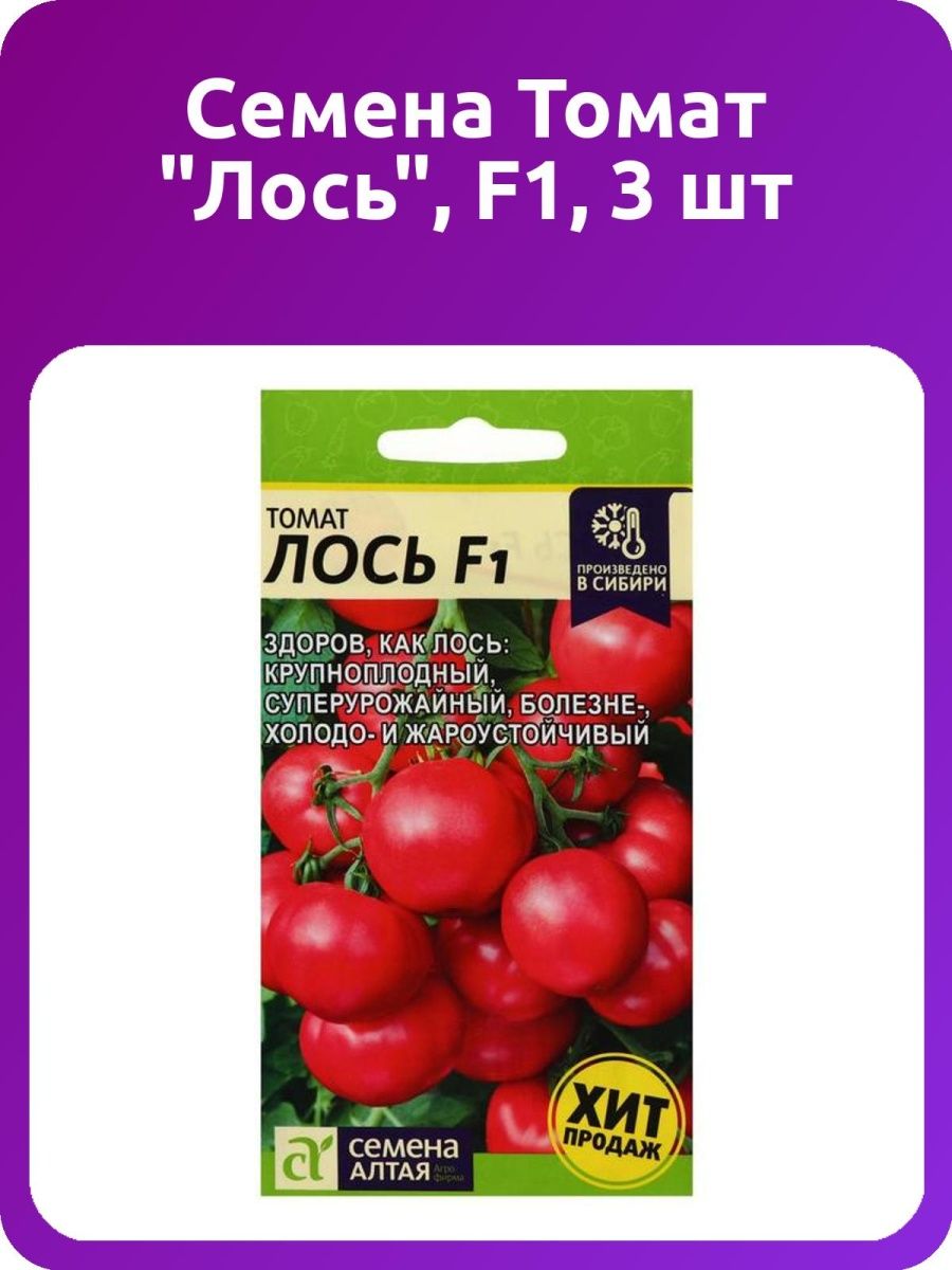 Томат Лось f1. Лось в томате. Томат Лось отзывы. Томат Лось фото.