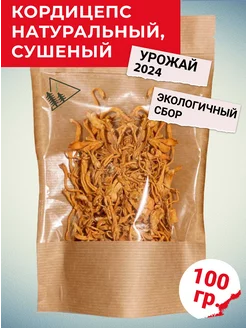 Кордицепс сушеный натуральный 100гр