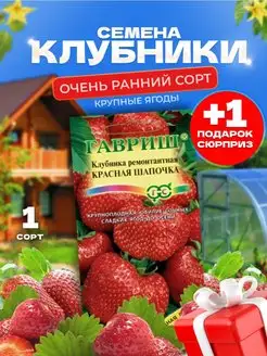 Земляника клубника ремонтантная крупная сладкая ранняя