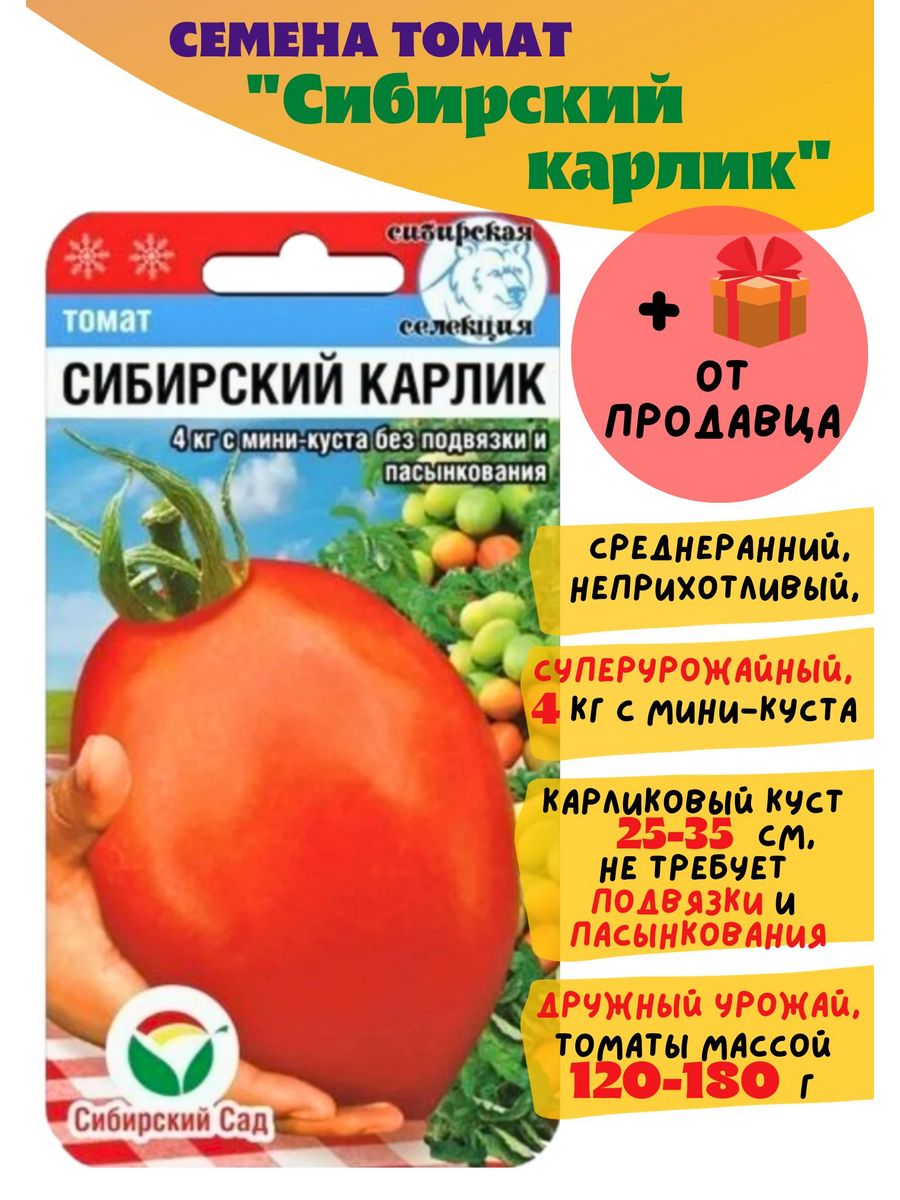 Сибирский карлик томат описание. Помидоры Сибирский карлик. Томат Сибирский карлик. Томат мангольд карлик Сибирский сад.