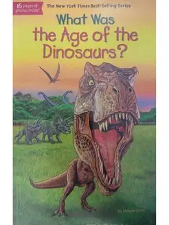 What Was the Age of the Dinosaurs?