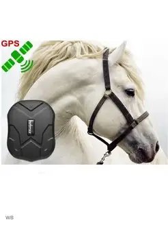 GPS трекер TKSTAR TK905