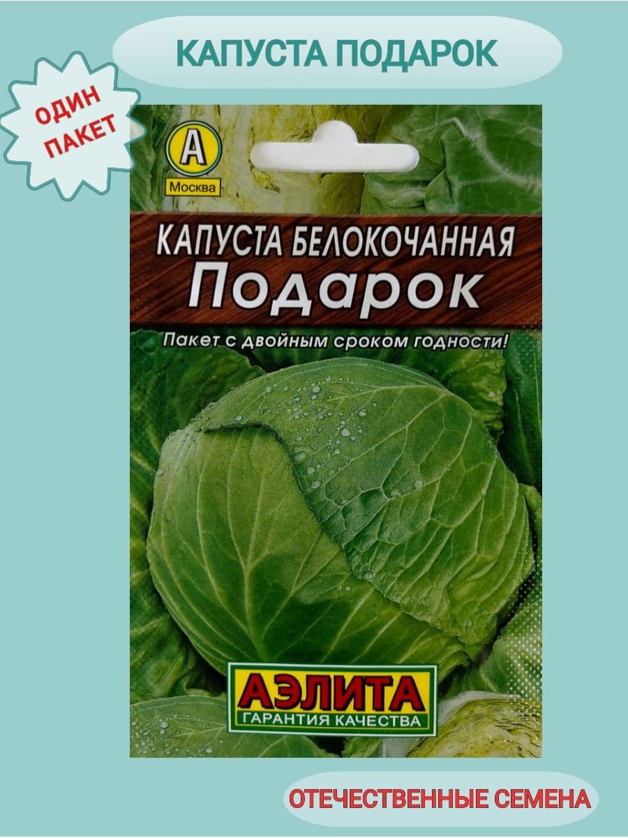 Капуста галакси описание. Капуста белокочанная подарок. Капуста галакси. Капуста галакси фото. Капуста Кевин описание сорта фото отзывы.