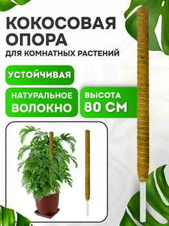 Кокосовая опора для комнатных цветов и растений монстер