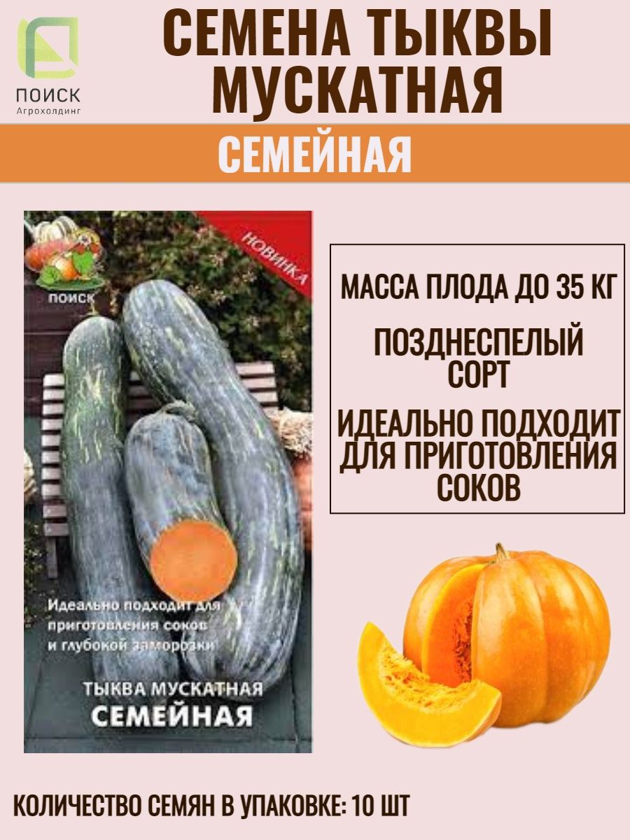 Тыква семейная мускатная схема посадки