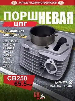 ЦПГ поршневая CВ250 165FMM