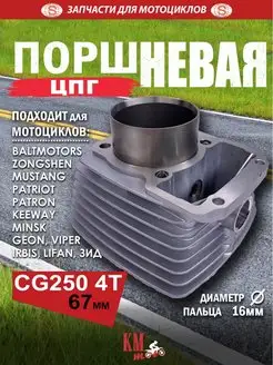 ЦПГ поршневая CG250 167 FMM