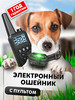 Ошейник для собак электронный дрессировочный бренд KINGSTAR продавец Продавец № 193803