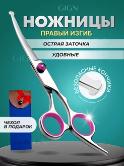 Набор инструментов для груминга ножницы для кошек и собак