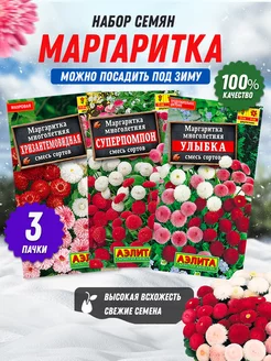 Семена маргаритки двулетняя 3 шт