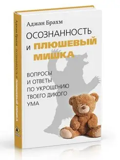 Осознанность и плюшевый мишка