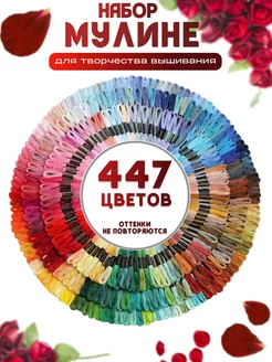 Нитки мулине набор 447 шт