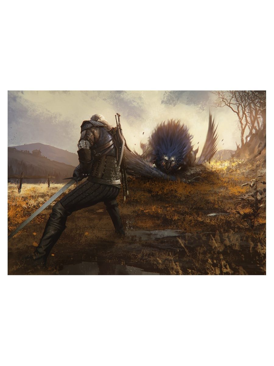 The witcher 3 silver for monsters фото 60