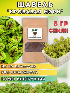 Щавель Кровавая Мэри