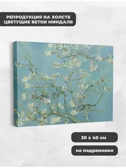 Цветущие Ветви Миндаля Винсент ван Гог 30x40 см